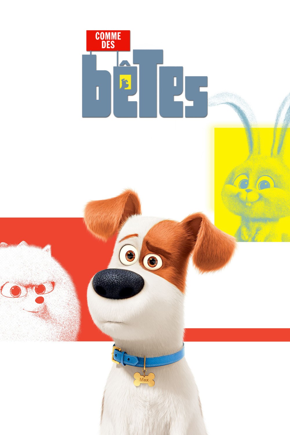 دانلود انیمیشن The Secret Life of Pets 2016 دانلود انیمیشن The Secret Life of Pets 2016